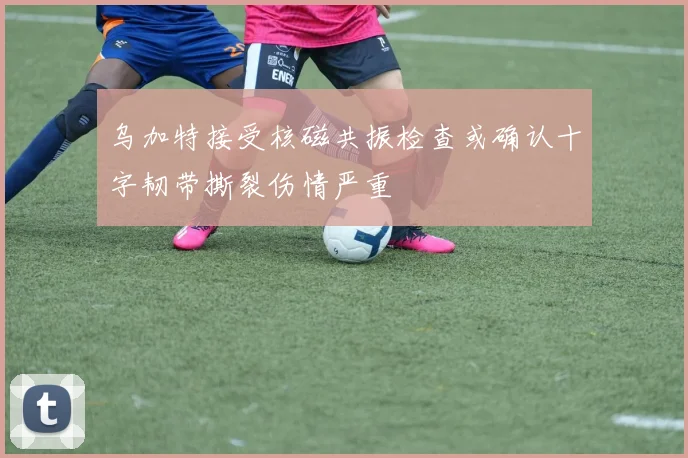 乌加特接受核磁共振检查或确认十字韧带撕裂伤情严重
